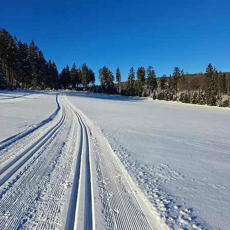 Willingen Апартаменты *